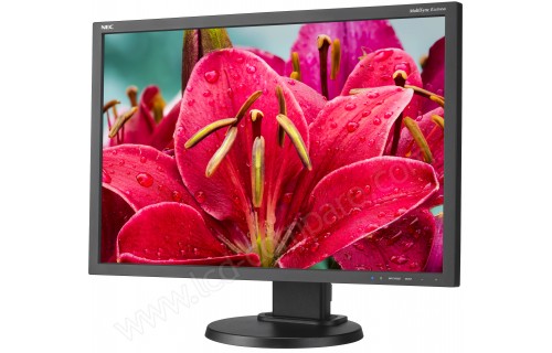 NEC MultiSync E245WMi-BK