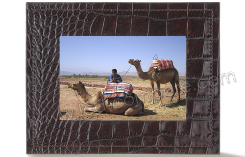 PARROT Photo Viewer 7 (Caf&eacute; Salamandre)