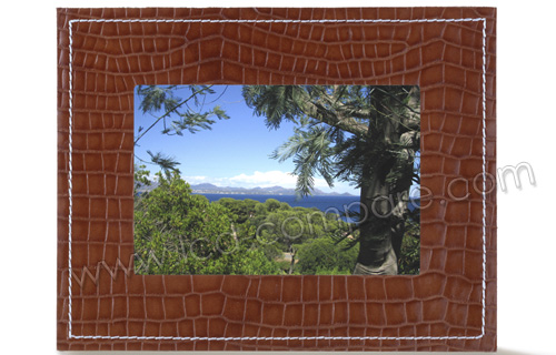 PARROT Photo Viewer 7 (Marron Salamandre)