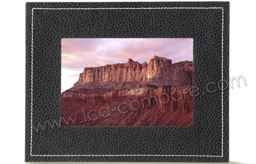 PARROT Photo Viewer 7 (Noir Buffalo)