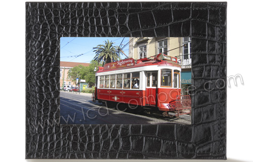 PARROT Photo Viewer 7 (Nuit Salamandre)