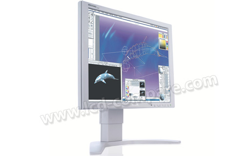 PHILIPS 190P7EG Brillance