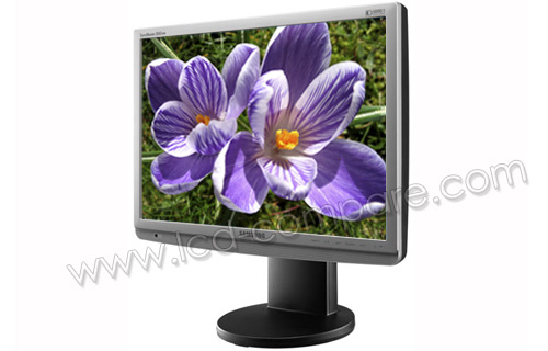 SAMSUNG SyncMaster 2043WM Argent