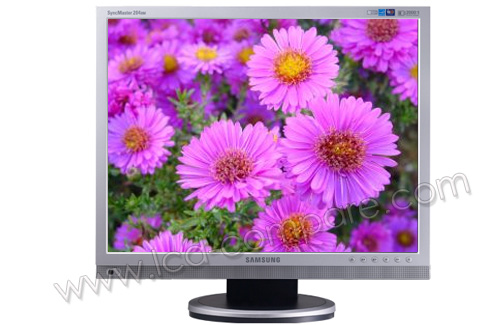 SAMSUNG SyncMaster 204BM