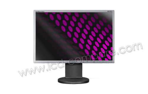 SAMSUNG SyncMaster 2243EW v2 Argent