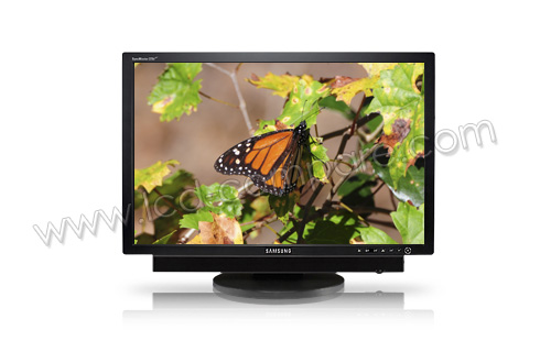 SAMSUNG SyncMaster 245Bmm