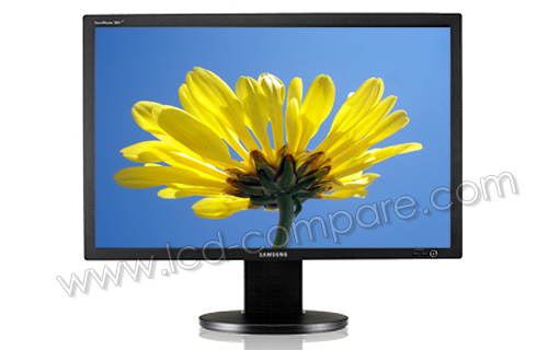SAMSUNG SyncMaster 305T Plus