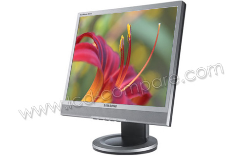 SAMSUNG SyncMaster 913TM 25 ms
