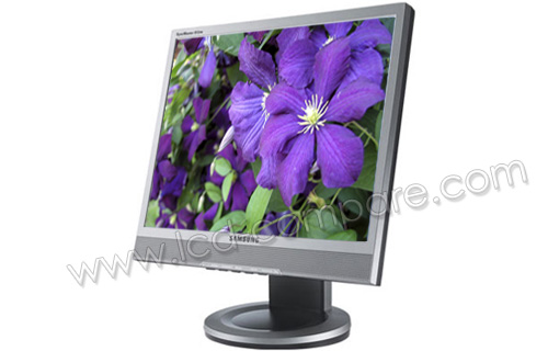 SAMSUNG SyncMaster 913TM HAS