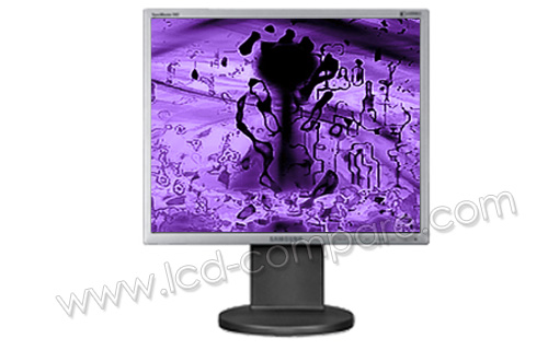 SAMSUNG SyncMaster 943B v2 Argent