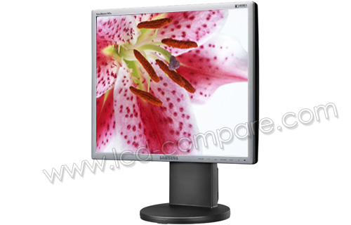 SAMSUNG SyncMaster 943N Argent