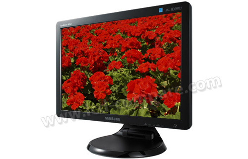 SAMSUNG SyncMaster 961BW