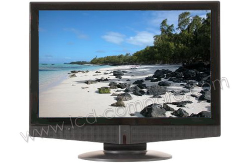 TECHVISION 19LCD PTWT