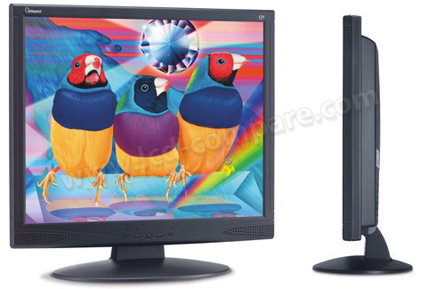 VIEWSONIC Optiquest Q9b