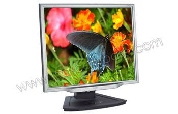 ACER AL1923D - 19 pouces