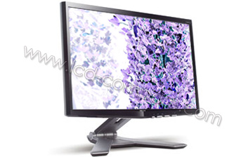 ACER P223WBbdr - 22 pouces