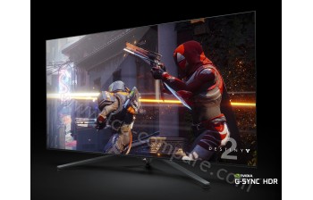 ASUS PG65 - 65 pouces