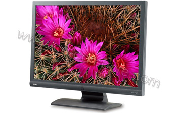 BENQ G900WA Noir - 19 pouces