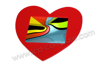 BIOSTEK DS243 - 2.4 pouces