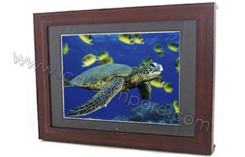 BLUETRADE DPF010C - 10.4 pouces