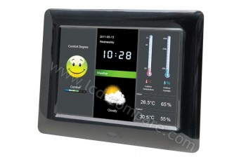 BRAUN DigiFrame 800 Weather - 8 pouces