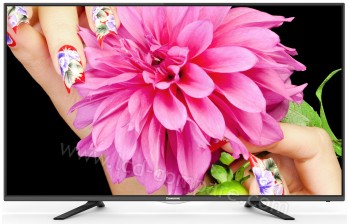 CHANGHONG LED65D2500H - 165 cm