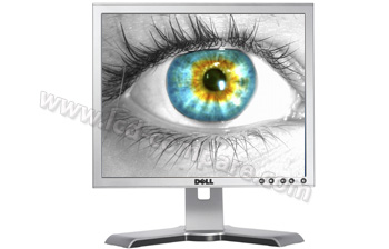 DELL 1708FP Argent - 17 pouces