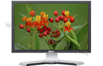 DELL 1908WFP - 19 pouces