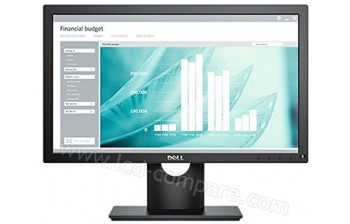DELL E1916H - 19 pouces