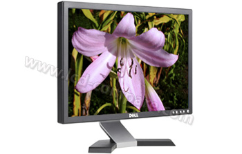 DELL E198WFP - 19 pouces