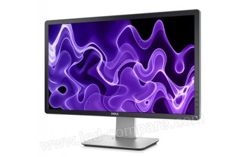 DELL P2214H - 21.5 pouces