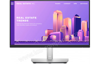 DELL P2222H - 21.5 pouces