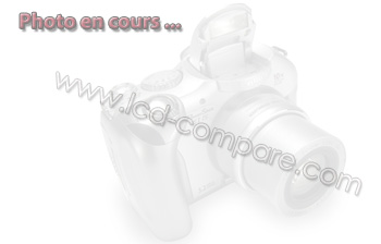 DELL Ultrasharp 1909W Argent - 19"