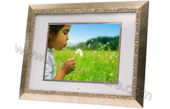 DIGITAL SPECTRUM MV-1500 - 15 pouces