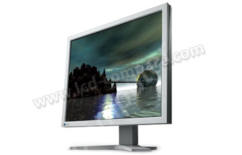 EIZO ColorEdge CG19 (Gris) - 19 pouces