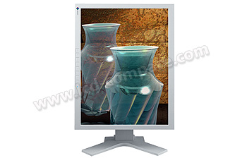 EIZO ColorEdge CG210 (Gris) - 21.3 pouces
