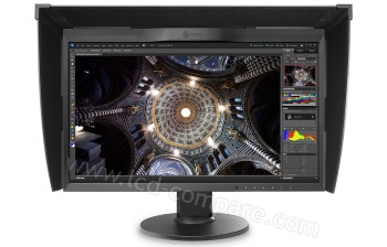 EIZO ColorEdge CG248-4K - 23.8 pouces