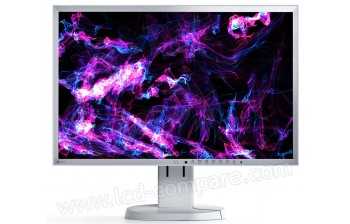 EIZO EV2216WFS-GY - 22 pouces