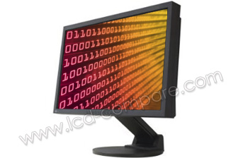 EIZO FlexScan EV2411WE-BK - 24"