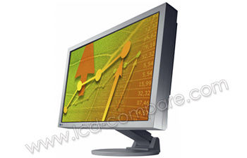 EIZO FlexScan EV2411WE-GY - 24"