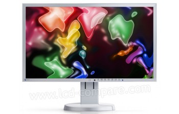 EIZO EV2436WFS-GY - 24 pouces