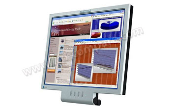 EIZO Flexscan L550 - 17 pouces