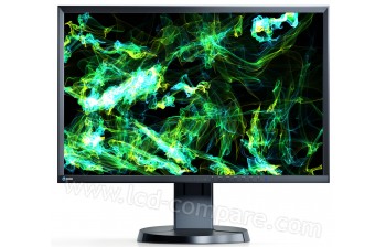 EIZO EV2216WFS-BK - 22 pouces