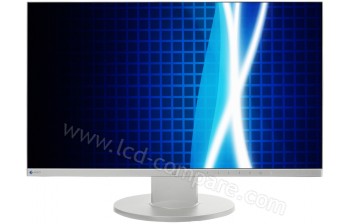 EIZO EV2450-GY - 23.8 pouces