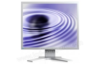 EIZO FlexScan S1923H-GY - 19 pouces