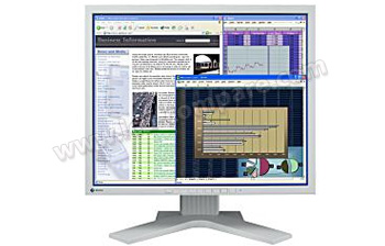 EIZO Flexscan L768 Gris - 19 pouces