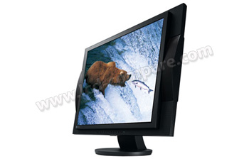 EIZO Flexscan M1950 (Noir) - 19 pouces