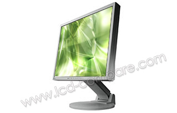 EIZO S1701SE-GY - 17 pouces