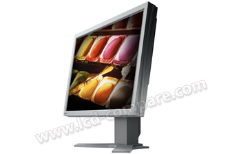 EIZO S2000-GY - 20.1 pouces