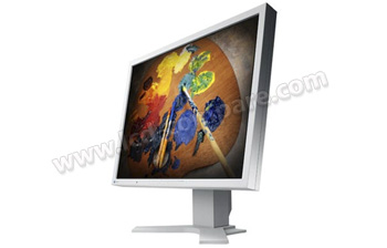 EIZO Flexscan S2100 (Gris) - 21.3 pouces